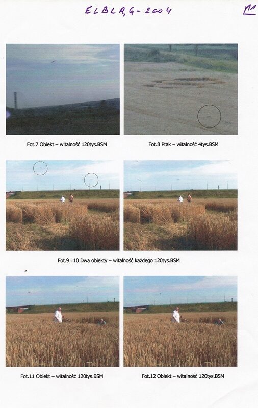 Kadry z kamery z odczytami witalności: owady (2 tys. BSM), ptak (4 tys. BSM) i ciemne obiekty (po 120 tys. BSM).