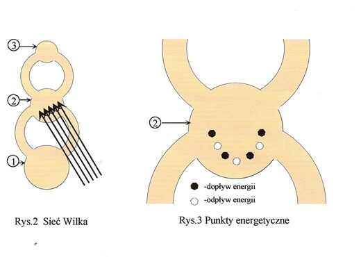 Rys. 2. Sieć Wilka i rys. 3. Punkty energetyczne w kręgu nr 2: czarne – dopływ energii, białe – odpływ.