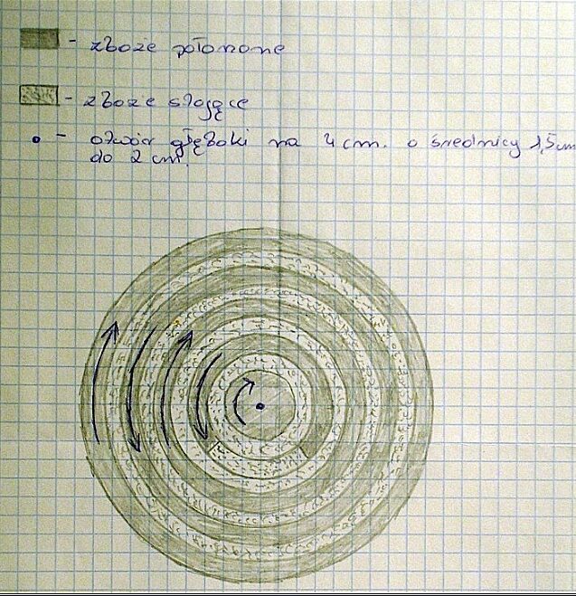 Szkic formacji z teczki sprawy: ciemne pasy – zboże położone, jasne – stojące, strzałki – kierunek położenia. W środku otwór głęboki na 4 cm o średnicy 1,5–2 cm.