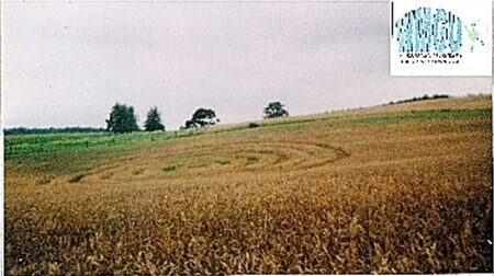 Kręgi widziane z brzegu pola, sierpień 2000.