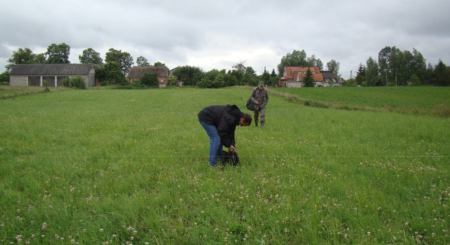 Fot. 4. Wygląd pola podczas badań radiestezyjnych.